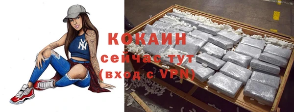 дмт Сатка