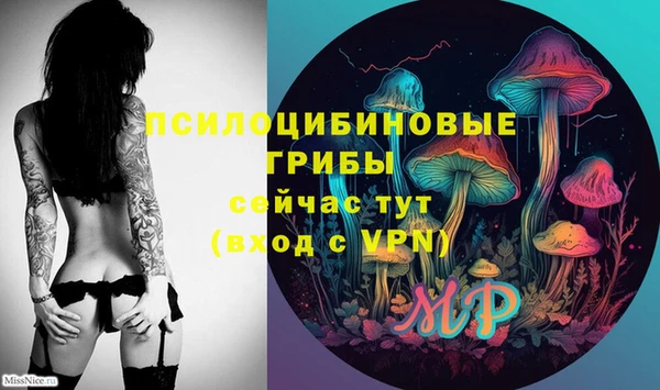 прущие крисы Карпинск
