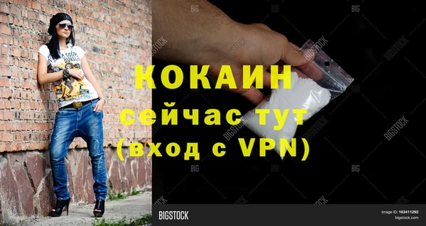 дмт Сатка