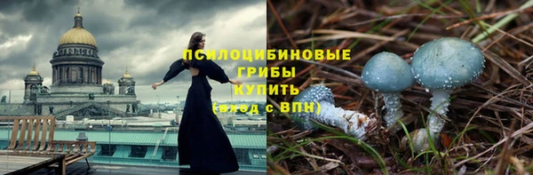 прущие крисы Карпинск