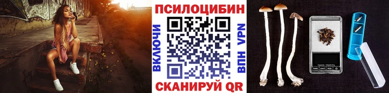 Псилоцибиновые грибы Magic Shrooms  Купить  Бузулук 